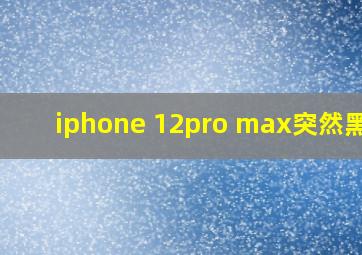 iphone 12pro max突然黑屏